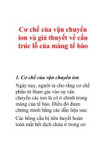 Cơ chế của vận chuyển ion và giả thuyết về cấu trúc lỗ của màng tế bào pptx