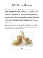 Sự kỳ diệu của đậu tương ppsx