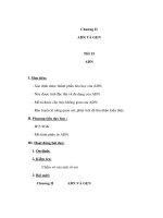 Tài liệu Sinh học 9 - ADN potx