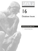 Chapter 16: Database Issues doc