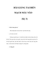 BÀI GIẢNG TAI BIẾN MẠCH MÁU NÃO (Kỳ 3) doc