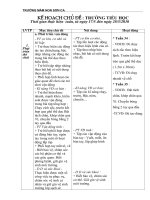 Kế hoạch chủ đề trường tiểu học