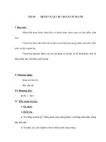 Tài liệu Sinh học 9 - BỆNH VÀ TẬT DI TRUYỀN Ở NGƯỜI potx