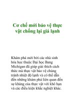 Cơ chế mới bảo vệ thực vật chống lại giá lạnh pps