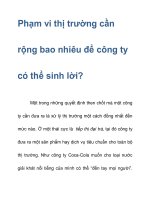 Phạm vi thị trường cần rộng bao nhiêu để công ty có thể sinh lời? pdf