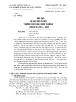 Báo cáo tại đại hội chi bộ