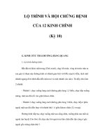 LỘ TRÌNH VÀ HỘI CHỨNG BỆNH CỦA 12 KINH CHÍNH (Kỳ 10) pdf