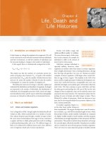 From Individuals to Ecosystems 4th Edition - Chapter 4 ppt