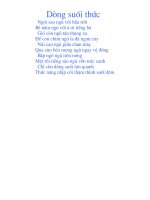 dong suoi thuc