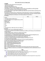 Đề cương ôn tập HK2 vật lí 9