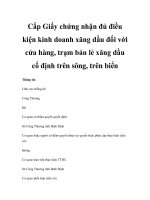 Cấp Giấy chứng nhận đủ điều kiện kinh doanh xăng dầu đối với cửa hàng, trạm bán lẻ xăng dầu cố định trên sông, trên biển potx