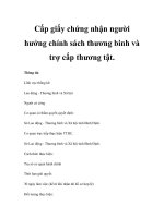 Cấp giấy chứng nhận người hưởng chính sách thương binh và trợ cấp thương tật pot