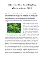 Chữa bệnh và kéo dài tuổi thọ bằng phương pháp cứu (Kỳ I) pdf