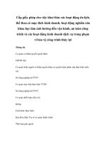 Cấp giấy phép cho việc khai thác các hoạt động du lịch, thể thao có mục đích kinh doanh; hoạt động nghiên cứu khoa học làm ảnh hưởng đến vận hành, an toàn công trình và các hoạt động kinh doanh dịch vụ trong phạm vi bảo vệ công trình thủy lợi docx