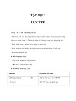 Giáo án Tiếng Việt lớp 1 - LUỸ TRE doc