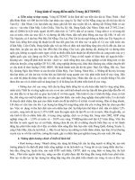 Vùng kinh tế trọng điểm miền Trung