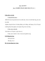 Giáo án đạo đức lớp 1 - NGHIÊM TRANG KHI CHÀO CỜ (tiết 1) doc