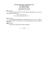 KT Ngữ văn 6 kì II (có đáp án)