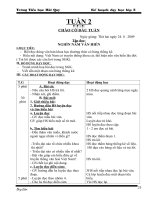 TUẦN 2