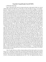 Vùng kinh tế trọng điểm phía Nam