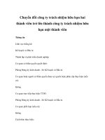 Chuyển đổi công ty trách nhiệm hữu hạn hai thành viên trở lên thành công ty trách nhiệm hữu hạn một thành viên docx