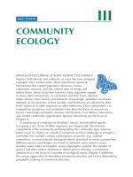 Insect Ecology - An Ecosystem Approach 2nd ed - Chapter 8 ppsx