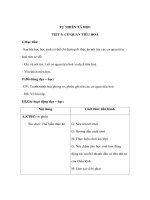 Giáo án TNXH lớp 3 - CƠ QUAN TIÊU HOÁ docx