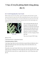 Y học cổ truyền phòng bệnh trúng phong (Kỳ I) pot