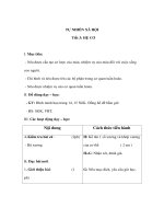 Giáo án TNXH lớp 3 - HỆ CƠ pdf