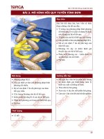 BÀI 3: MÔ HÌNH HỒI QUY TUYẾN TÍNH pdf