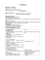 GIÁO ÁN HỌC KÌ II TUẦN 19 - 33 CKTKN