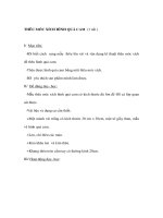 Kỹ thuật lớp 4 - THÊU MÓC XÍCH HÌNH QUẢ CAM (3 tiết ) pps