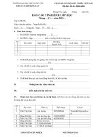 mẫu báo cáo tình hình lớp học pdf