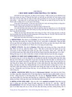 GIÁO TRÌNH SỬ DỤNG THUỐC BẢO VỆ THỰC VẬT PHẦN 11 potx