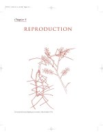 The Insects - Outline of Entomology 3th Edition - Chapter 5 pot