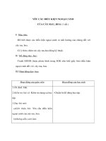 Kỹ thuật lớp 4 - YÊU CẦU ĐIỀU KIỆN NGOẠI CẢNH CỦA CÂY RAU, HOA (1 tiết ) pps