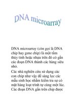 DNA microarray doc