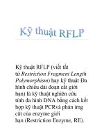 Kỹ thuật RFLP pdf