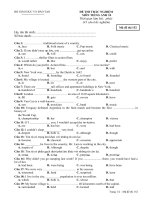 ĐỀ THI THỬ TIẾNG ANH 10 - HKII