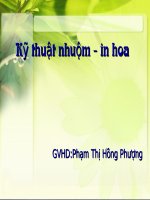 Kỹ thuật nhuộm - in hoa pdf