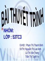Đánh giá chiến lược phát triển của công ty sữa vinamik
