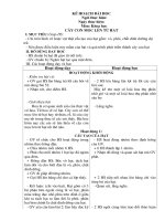 Cây con mọc lên từ hạt