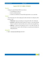 Lab 4: XỬ LÝ CSDL CƠ BẢN pdf