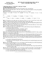 de cuong on tap hoc ky II - lop 10 (hay)