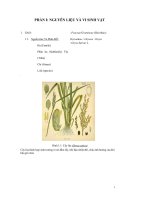 Đề tài lên men cơm rượu theo phương pháp truyền thống