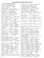 Đề cương ôn thi HK II Anh 9