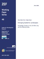 Emerging Epistemic Landscapes: Knowledge Clusters in Ho Chi Minh City and the Mekong Delta pptx