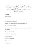 Thành lập doanh nghiệp gắn với cấp Giấy chứng nhận đầu tư đối với trường hợp dự án đầu tư có quy mô vốn đầu tư dưới 300 tỷ đồng Việt Nam và thuộc lĩnh vực đầu tư có điều kiện potx