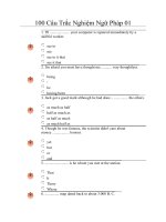 100 Câu Trắc Nghiệm Ngữ Pháp docx