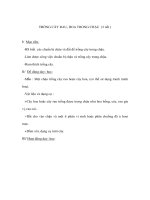 Kỹ thuật lớp 4 - TRỒNG CÂY RAU, HOA TRONG CHẬU (2 tiết ) pdf